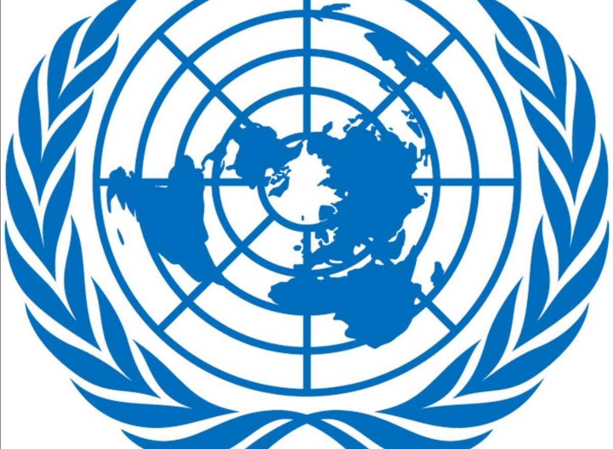 坚定维护以联合国宪章宗旨和原则为基础的国际关系基本准则 - 知乎
