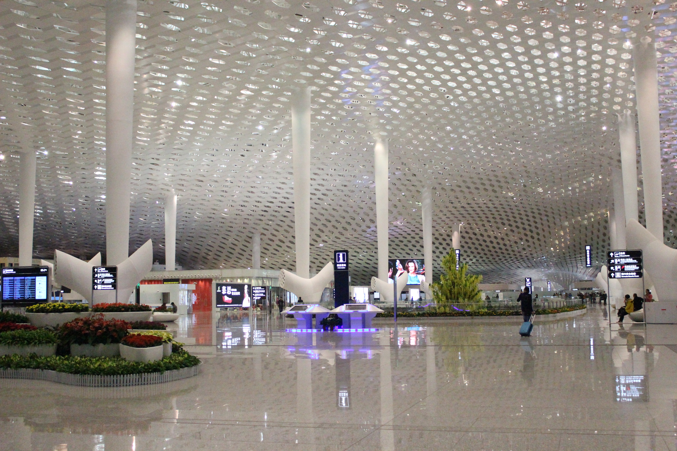 深圳机场t4航站楼图片