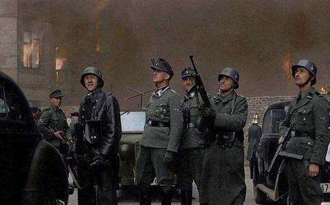 德国党卫军骷髅师(纳粹党卫军作战师)