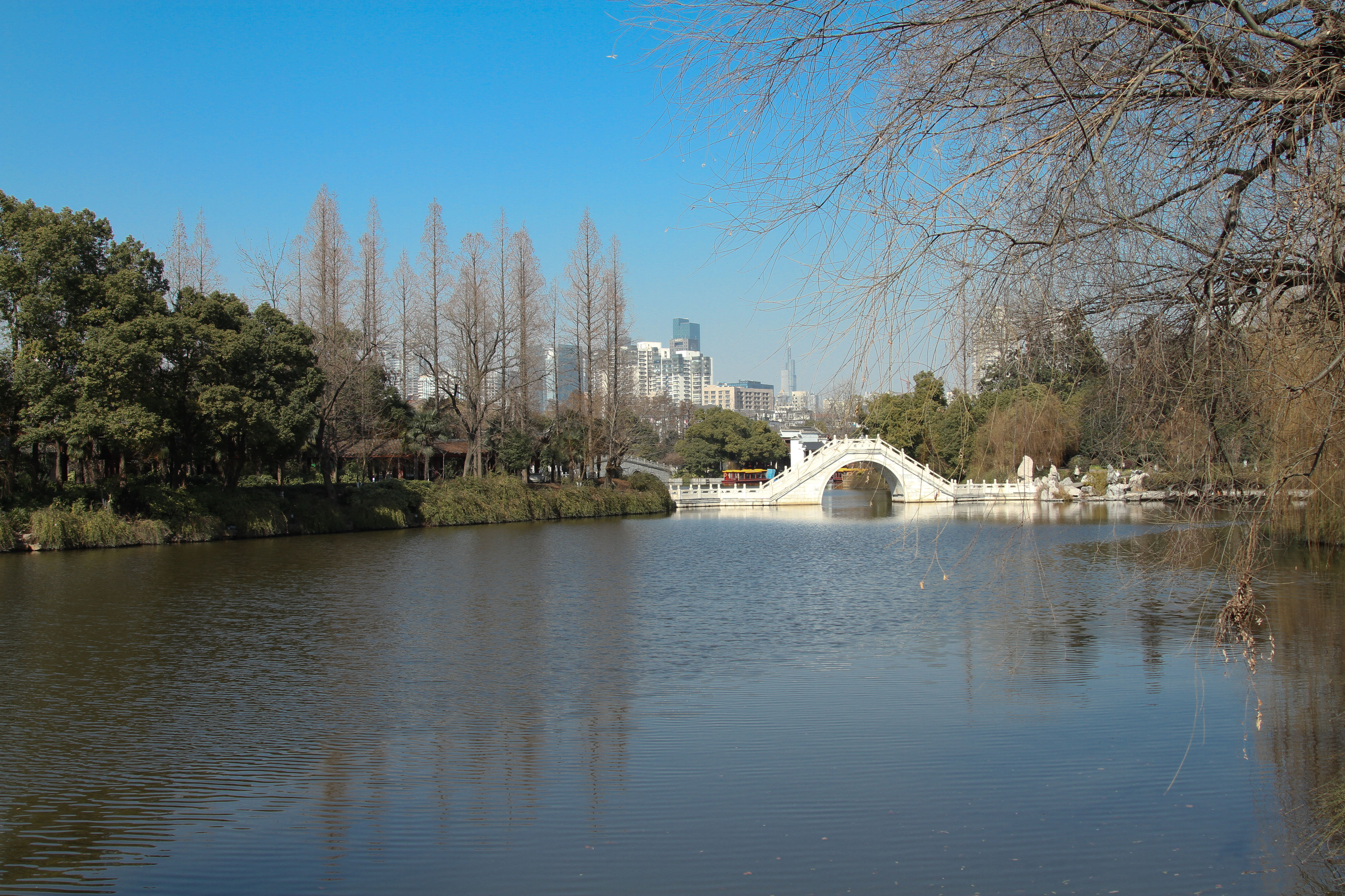 南京白鹭洲公园历史图片