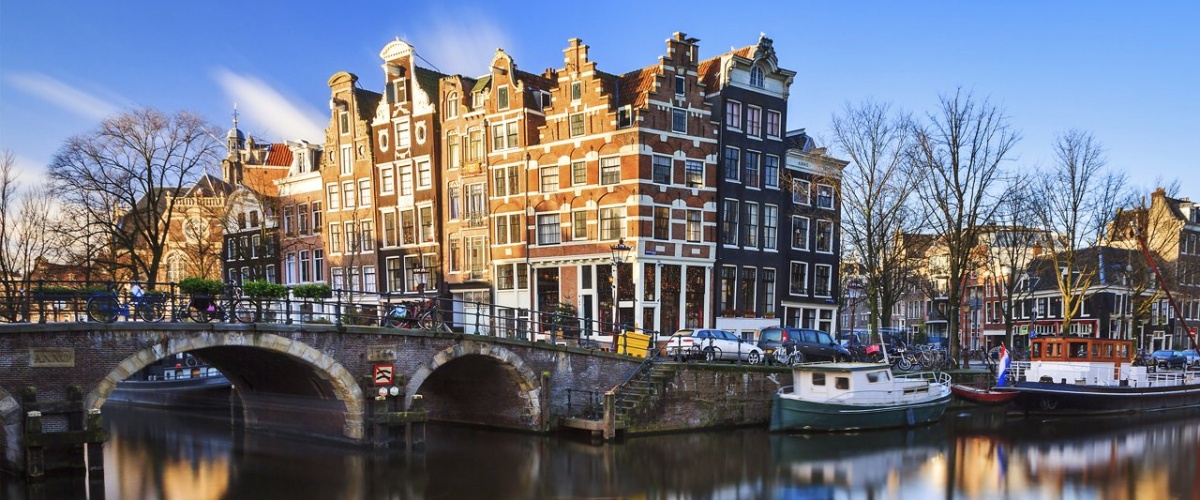阿姆斯特丹大学校徽图片