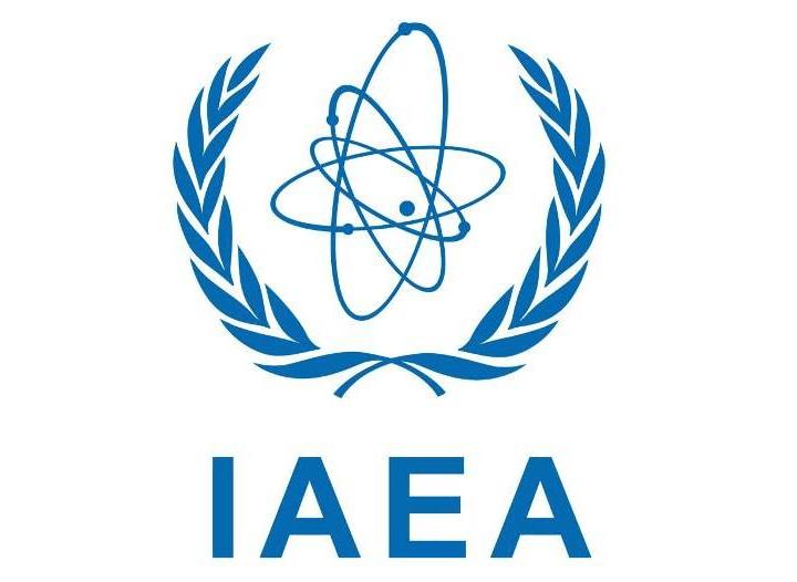 联合国原子能机构