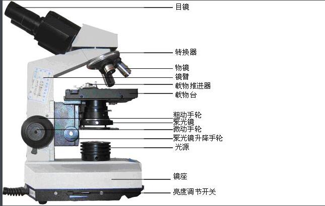 显微镜（科研仪器设备）