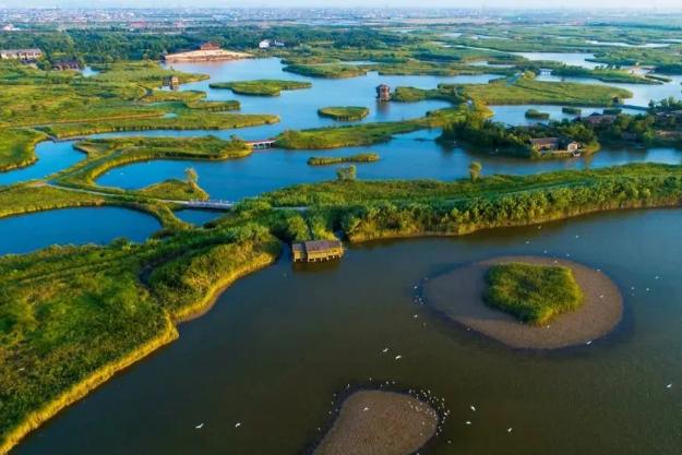 浙江杭州湾国家湿地公园