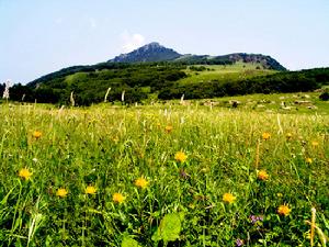 百花山国家级自然保护区